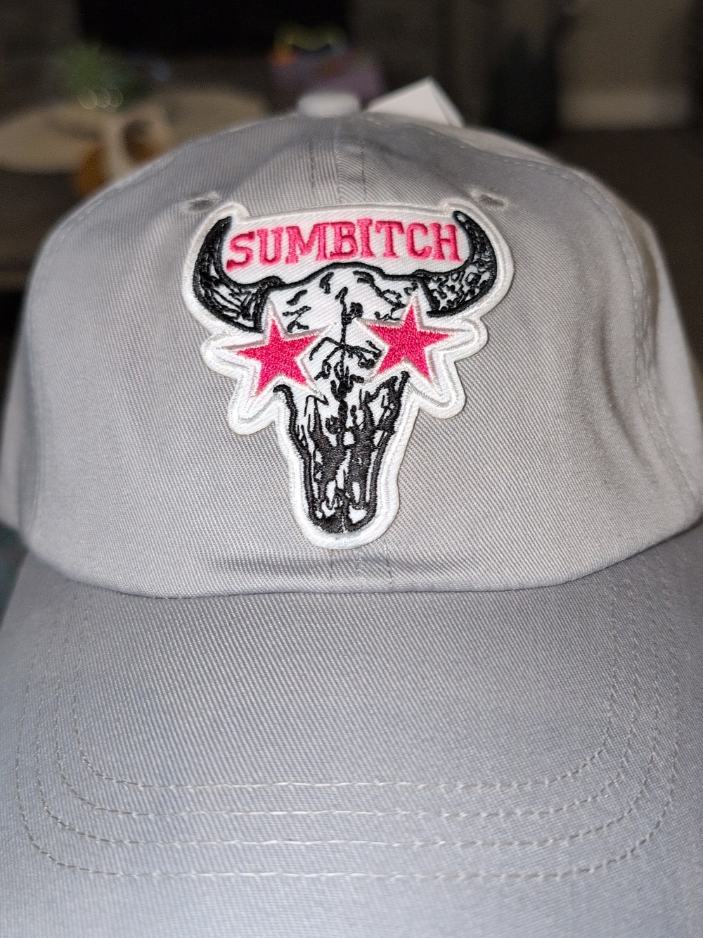 Gray Cap with Pink Accent Skull Patch